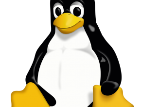 Linux