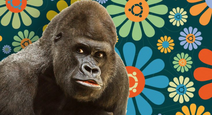 Groovy Gorilla